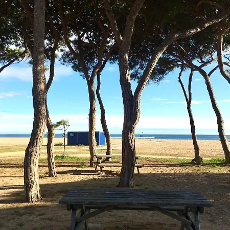 Sunshine With Great Sea View And Terrace In Appartement